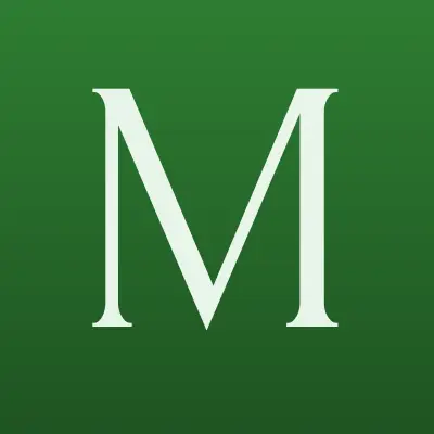 МАГИЯ ЗОЛОТА И СЕРЕБРА, сеть салонов, лого-визитка